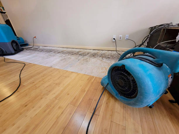 Professional Basement Flood Cleanup technician working in Selden, NY